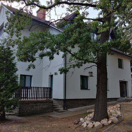Bed and Breakfast Diana Panzio Mátrafüred Esterno foto