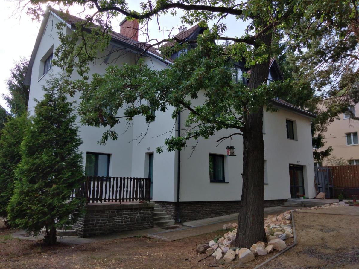 Bed and Breakfast Diana Panzio Mátrafüred Esterno foto