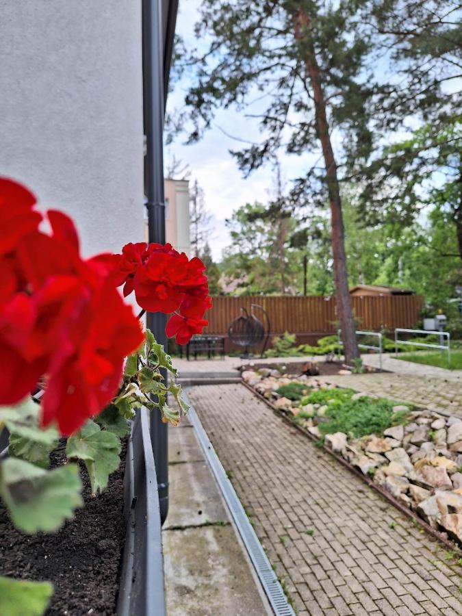 Bed and Breakfast Diana Panzio Mátrafüred Esterno foto